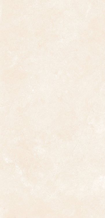 OL Marfil Matte 12 x 24